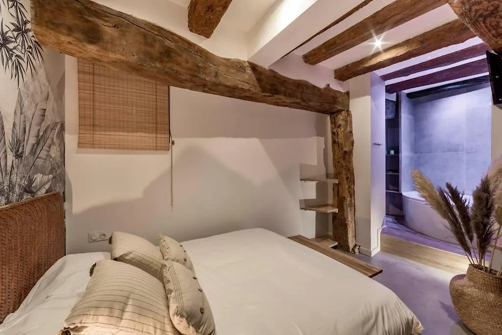 Appartamento Le Saint-Georges Lione