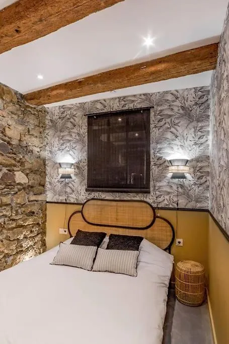 Apartmán Le Saint-Georges Lyon 0*,